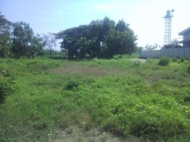  Land for sale in Purworejo, Pasuruan, Purworejo