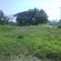  Land for sale in Purworejo, East Jawa, Purworejo, Pasuruan
