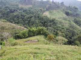 5 Schlafzimmer Villa zu verkaufen in Dosquebradas, Risaralda, Dosquebradas