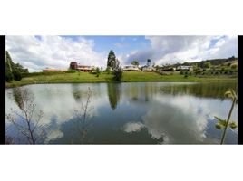  Land for sale in Popayan, Cauca, Popayan