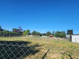  Terreno (Parcela) en venta en Chile, Requinao, Cachapoal, Libertador General Bernardo O'Higgins, Chile
