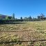  Terreno (Parcela) en venta en Chile, Requinao, Cachapoal, Libertador General Bernardo O'Higgins, Chile