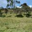  Land for sale in Girardota, Antioquia, Girardota