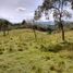  Terrain for sale in Girardota, Antioquia, Girardota