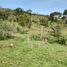  Terrain for sale in Girardota, Antioquia, Girardota