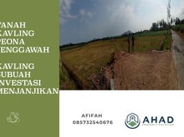  Land for sale in Jenggawah, Jember, Jenggawah