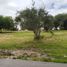 在Aguascalientes出售的 土地, Aguascalientes, Aguascalientes