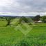  Terreno (Parcela) en venta en Ranco, Los Ríos, Rio Bueno, Ranco