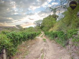  Terreno (Parcela) en venta en Santa Isabel (Chaguarurco), Santa Isabel, Santa Isabel (Chaguarurco)