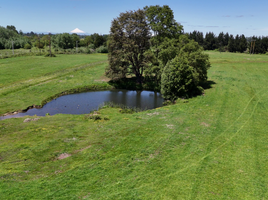  Terreno (Parcela) en venta en Chile, Osorno, Osorno, Los Lagos, Chile