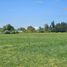  Terreno (Parcela) en venta en Chile, Osorno, Osorno, Los Lagos, Chile