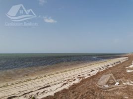 Terrain à vendre à Dzidzantun, Yucatan, Dzidzantun