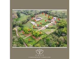  Land for sale in Caldas, Manizales, Caldas