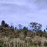  Land for sale in Rionegro, Antioquia, Rionegro