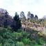  Land for sale in Rionegro, Antioquia, Rionegro