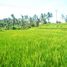  Tanah for sale in Ubud, Gianyar, Ubud