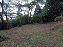  Grundstück zu verkaufen in Bogota, Cundinamarca, Bogota, Cundinamarca