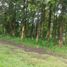  Land for sale in Ciampea, Bogor, Ciampea