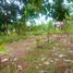  Land for sale in Ciampea, Bogor, Ciampea