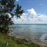  Grundstück zu verkaufen in Othon P Blanco, Quintana Roo, Othon P Blanco