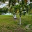  Grundstück zu verkaufen in Othon P Blanco, Quintana Roo, Othon P Blanco