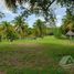  Grundstück zu verkaufen in Othon P Blanco, Quintana Roo, Othon P Blanco