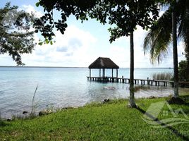  Grundstück zu verkaufen in Othon P Blanco, Quintana Roo, Othon P Blanco