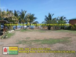 1 Bedroom Villa for sale in Ilocos, Bauang, La Union, Ilocos