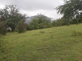  Grundstück zu verkaufen in Tepoztlan, Morelos, Tepoztlan, Morelos