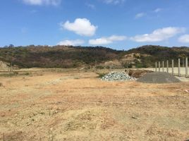  Land for sale in Daule, Guayas, Daule, Daule