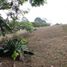  Land for sale in Yotoco, Valle Del Cauca, Yotoco