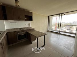 2 Habitación Apartamento en alquiler en San Jode de Maipo, Cordillera, San Jode de Maipo