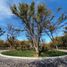  Terreno (Parcela) en venta en Durango, Durango, Durango, Durango