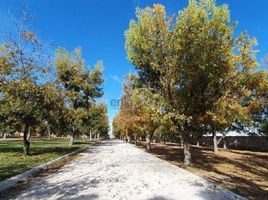  Terreno (Parcela) en venta en Durango, Durango, Durango, Durango