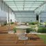 640 m² Office for rent in Alvaro Obregon, Ciudad de México, Alvaro Obregon
