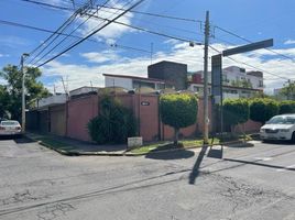 532.83 m² Office for rent in San Andres Cholula, Puebla, San Andres Cholula