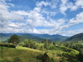  Terreno (Parcela) en venta en Santa Rosa De Cabal, Risaralda, Santa Rosa De Cabal