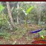  Land for sale in Selemadeg, Tabanan, Selemadeg