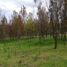  Land for sale in Paipa, Boyaca, Paipa