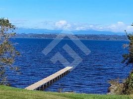  Land for sale in Chile, Rio Bueno, Ranco, Los Rios, Chile