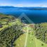  Land for sale in Chile, Rio Bueno, Ranco, Los Rios, Chile