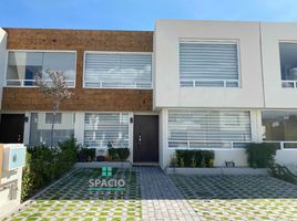 Maison 3 chambre à louer à Toluca, Mexico, Toluca