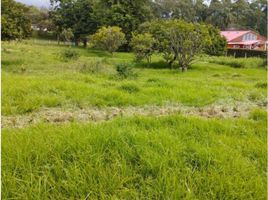  Terreno (Parcela) en venta en Pacho, Cundinamarca, Pacho