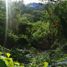  Land for sale in Manzanillo, Colima, Manzanillo, Colima
