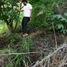  Land for sale in Manzanillo, Colima, Manzanillo, Colima