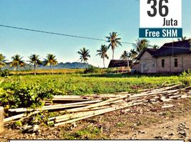  Land for sale in Banyuwangi, East Jawa, Gambiran, Banyuwangi