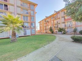 3 Bedroom Apartment for sale in Cordillera, Santiago, Pirque, Cordillera