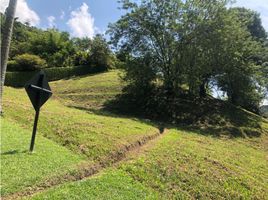  Terreno (Parcela) en venta en Manizales, Caldas, Manizales, Caldas