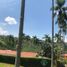  Terreno (Parcela) en venta en Manizales, Caldas, Manizales, Caldas