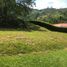  Terreno (Parcela) en venta en Manizales, Caldas, Manizales, Caldas